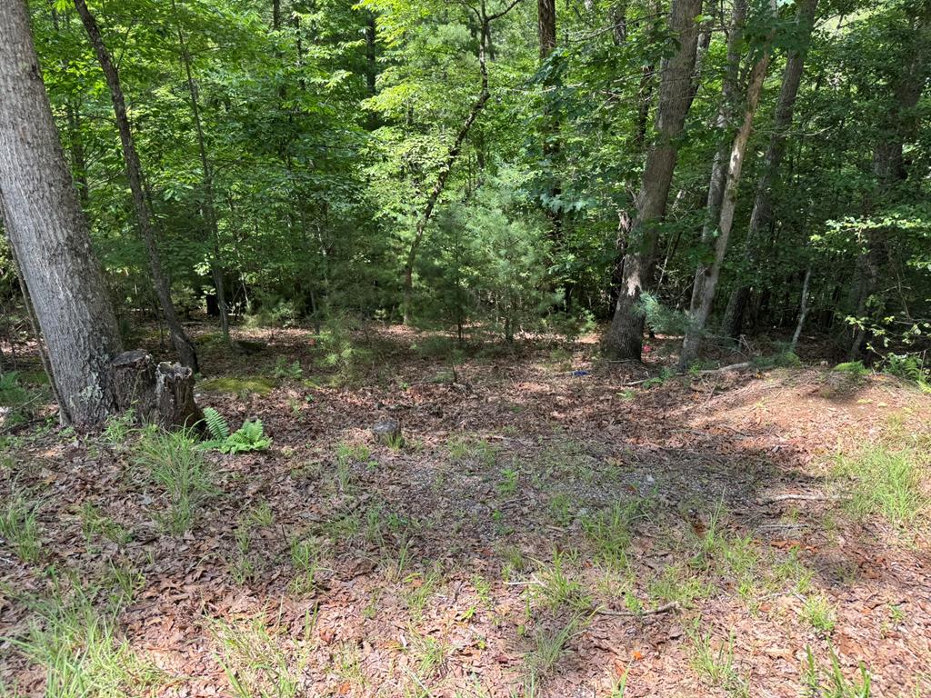 Ot 3 Honeysuckle Drive Property Photo 1