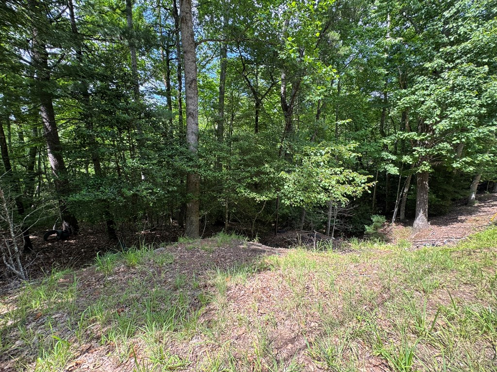 Ot 3 Honeysuckle Drive Property Photo 10