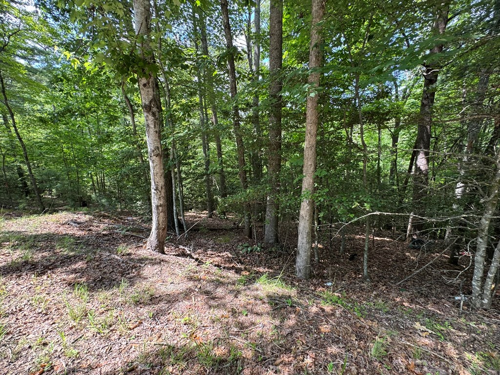 Ot 3 Honeysuckle Drive Property Photo 11