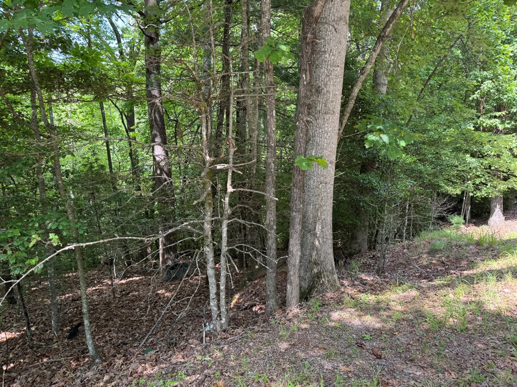 Ot 3 Honeysuckle Drive Property Photo 13