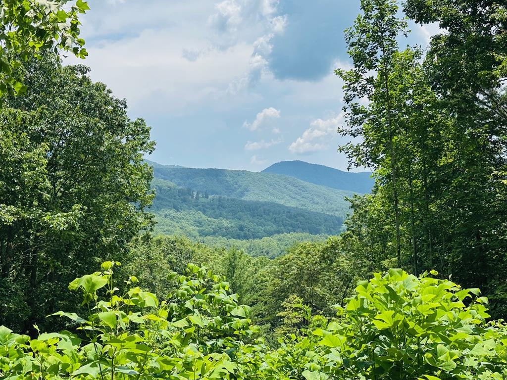 Lot 14 View Ridge Trail Property Photo 1