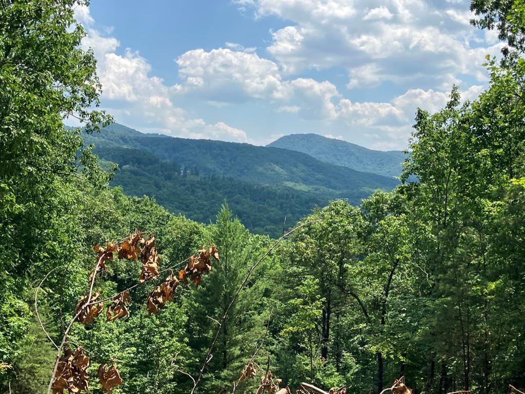 Lot 14 View Ridge Trail Property Photo 2