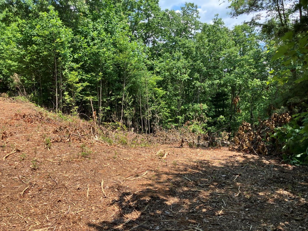 Lot 14 View Ridge Trail Property Photo 3