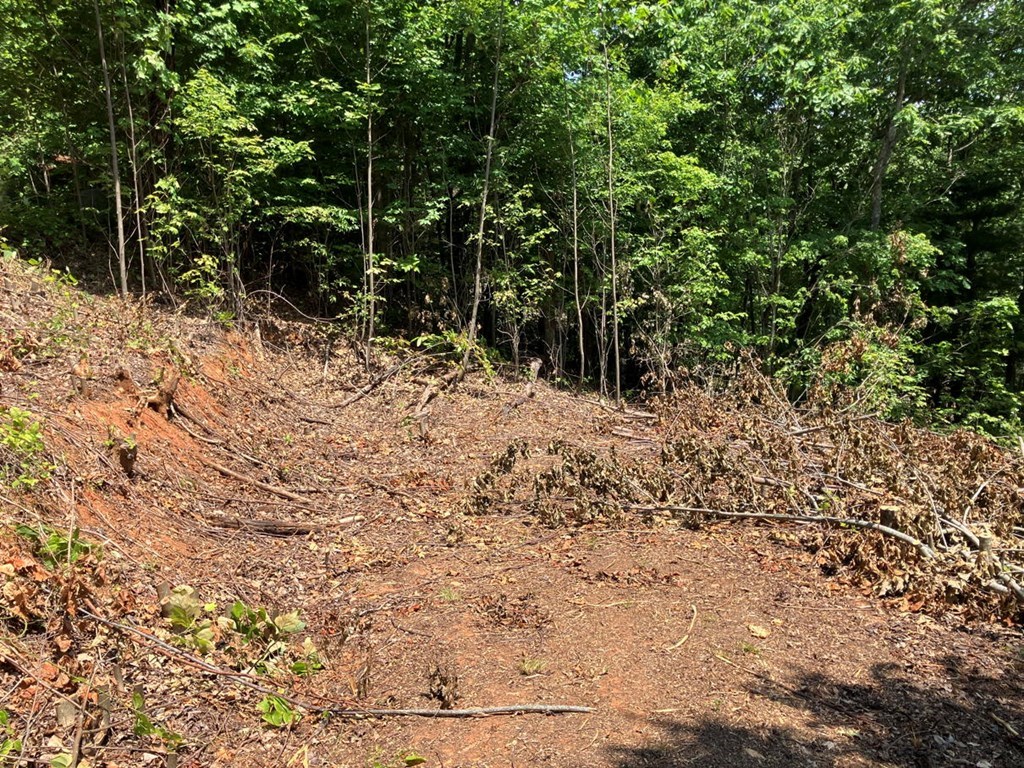 Lot 14 View Ridge Trail Property Photo 4