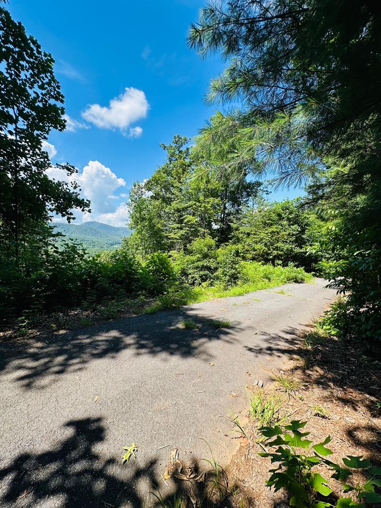 Lot 14 View Ridge Trail Property Photo 6