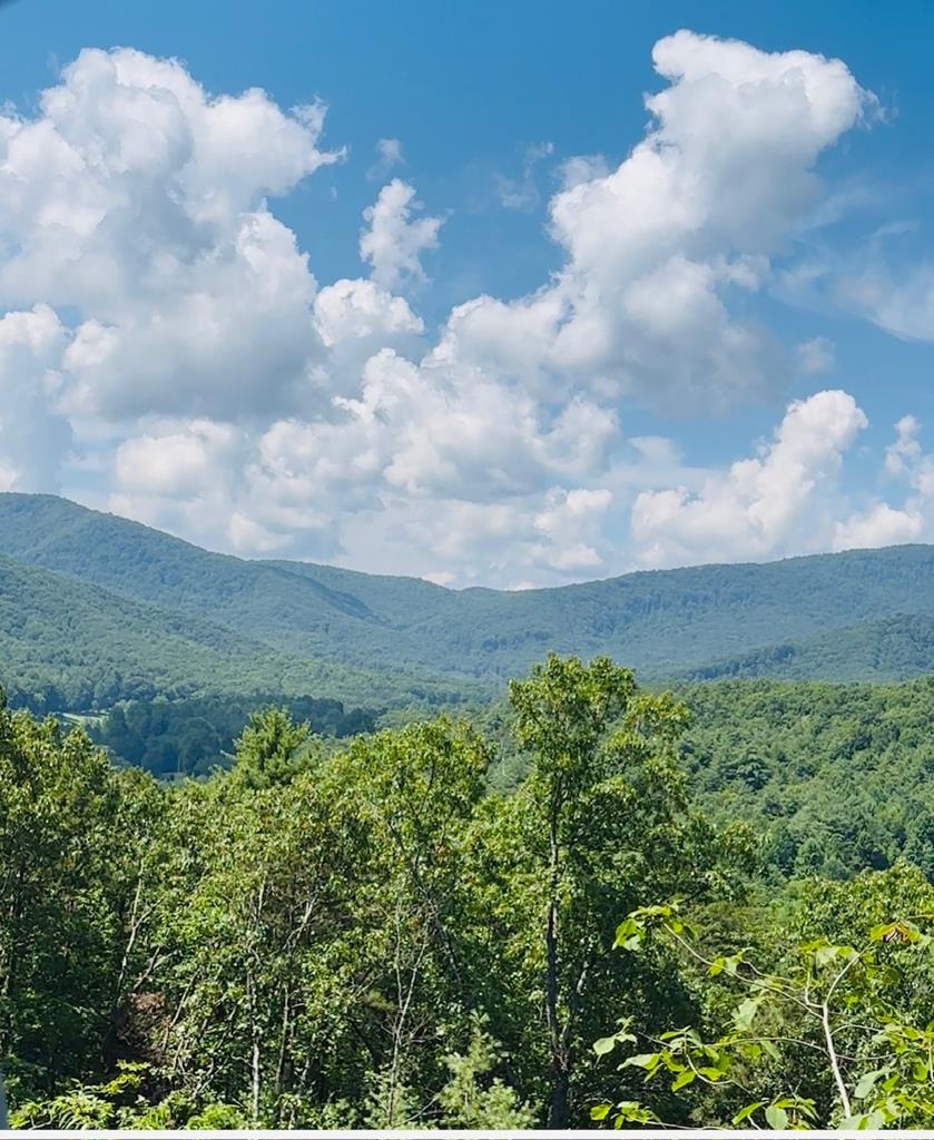 Lot 14 View Ridge Trail Property Photo 8