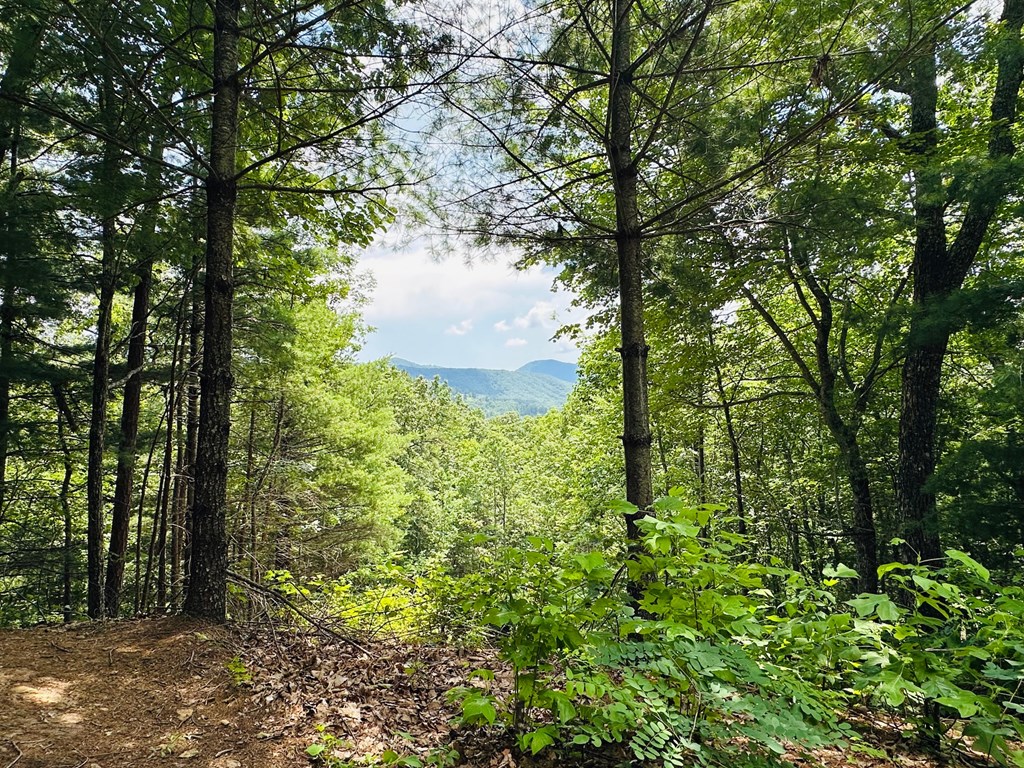 Lt 15 View Ridge Trail Property Photo 3