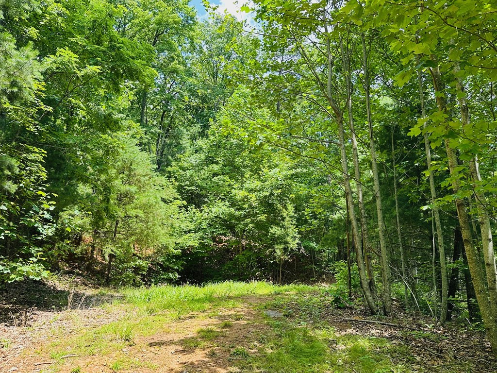 Lt 15 View Ridge Trail Property Photo 5