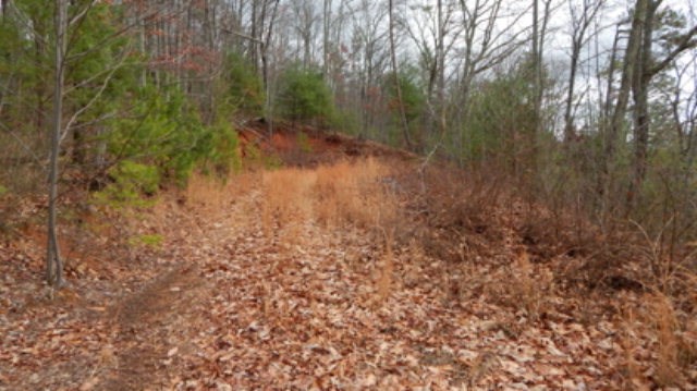 Lt 15 View Ridge Trail Property Photo 6