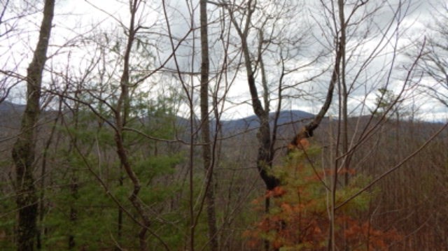 Lt 15 View Ridge Trail Property Photo 7