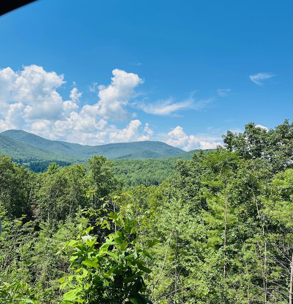 Lt 15 View Ridge Trail Property Photo 8