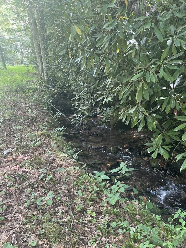 Lot17/18 Long Creek Lane Property Photo 1
