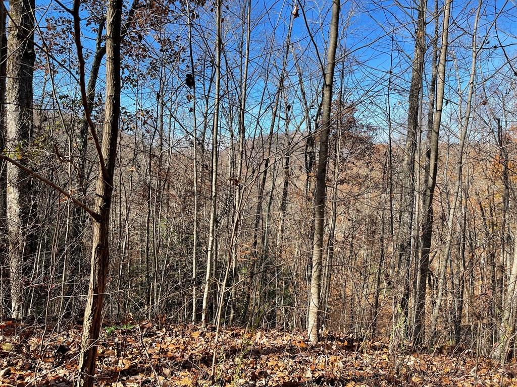 Lot 49J Indian Trail Property Photo 1