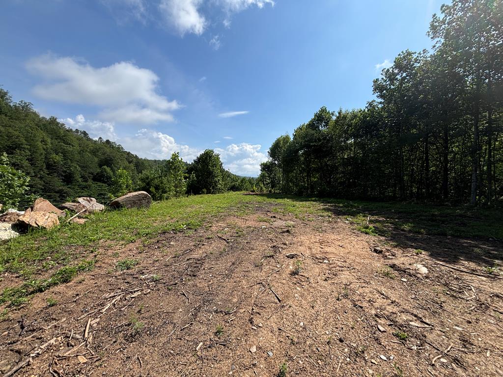 8888 Hwy 28 Property Photo 1