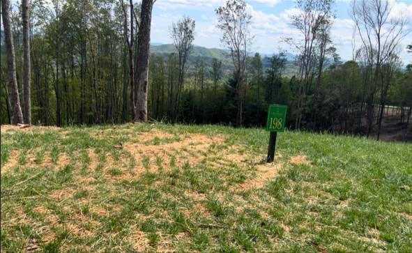 198 Skyline View Rd Property Photo 1