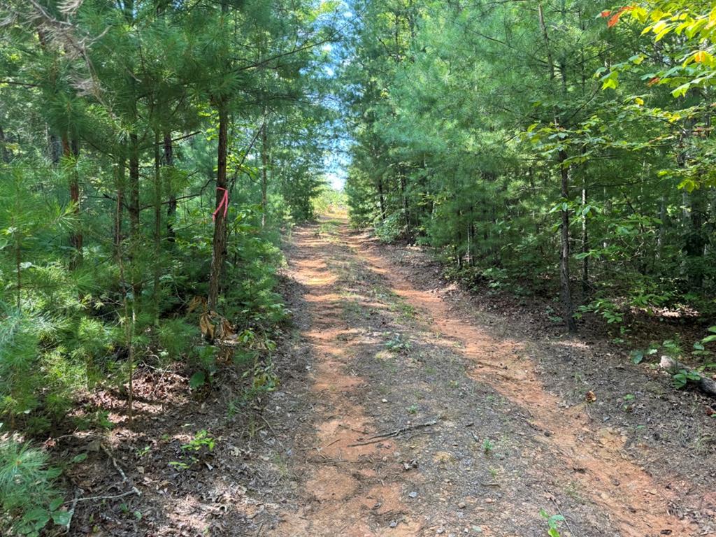 Lot 6&7 Donley Road Property Photo 1
