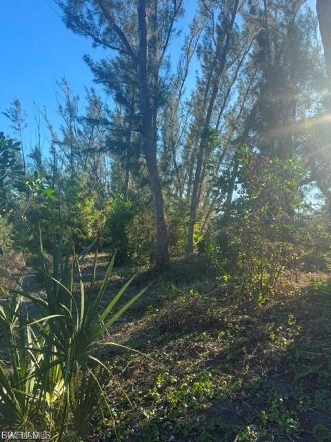 3666 Stabile Rd Property Photo 6