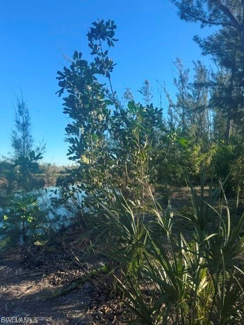 3666 Stabile Rd Property Photo 7