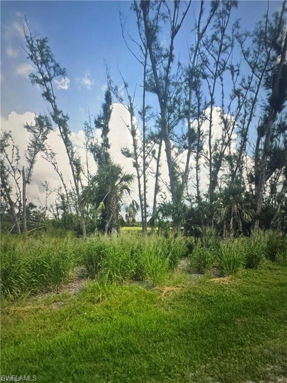 3666 Stabile Rd Property Photo 8