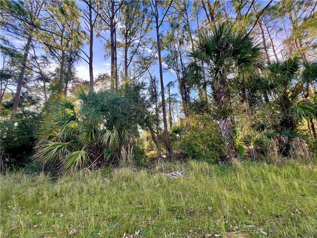 Lot # 26 Lummus St Property Photo 1