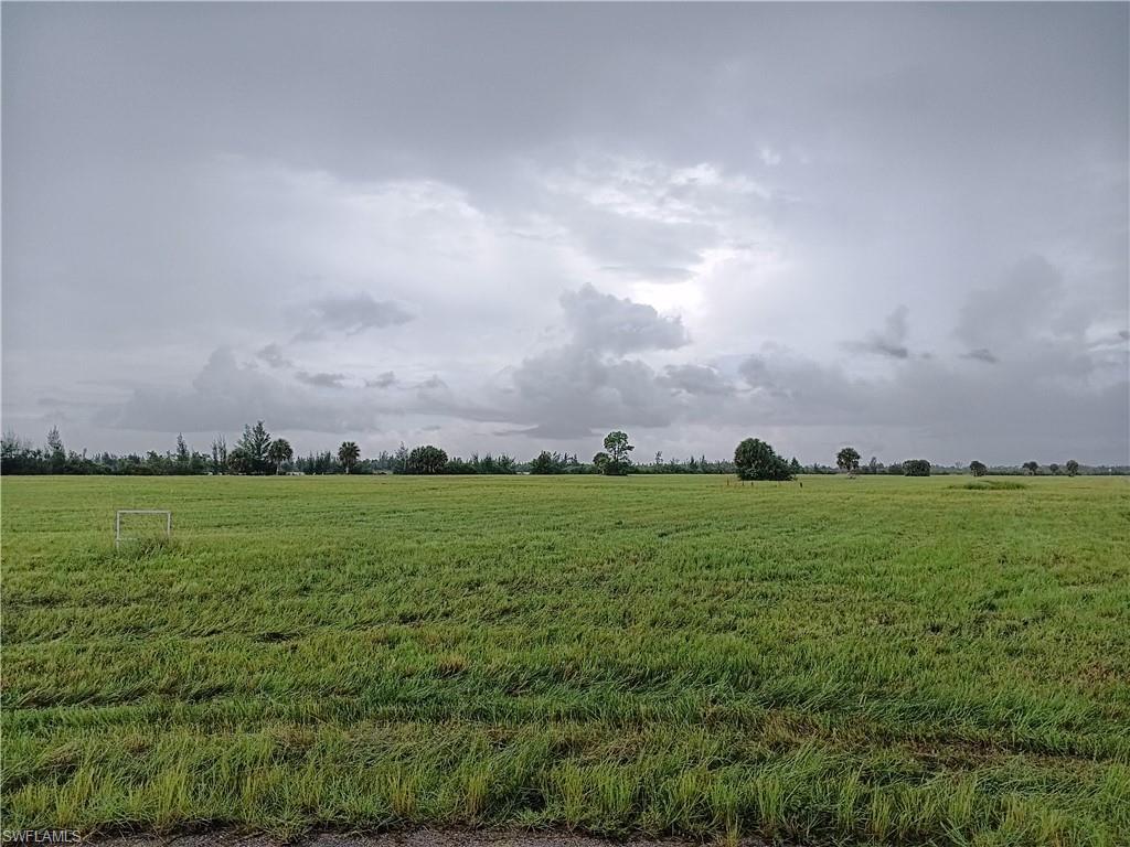 4 Yellow Elder WAY Property Photo 1