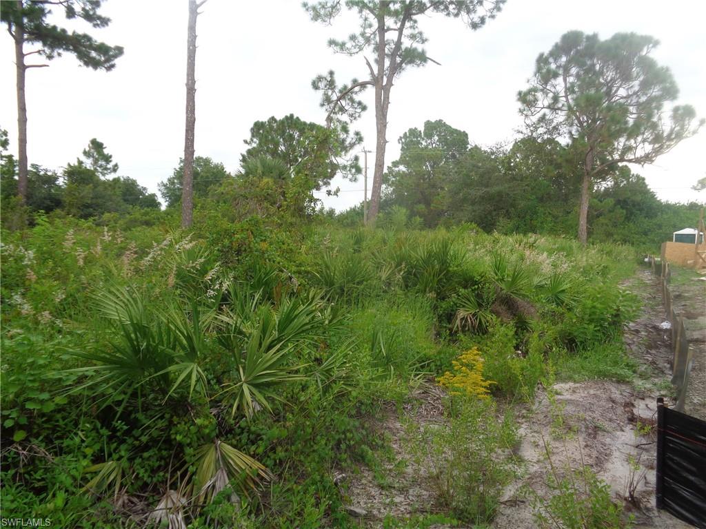 840 Naples Ave S Property Photo 5