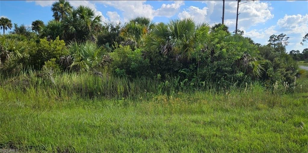 Lot 12 Stuckert St Property Photo 1