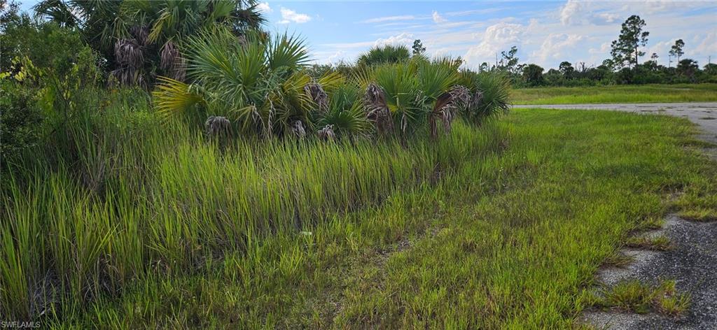 Lot 12 Stuckert St Property Photo 3