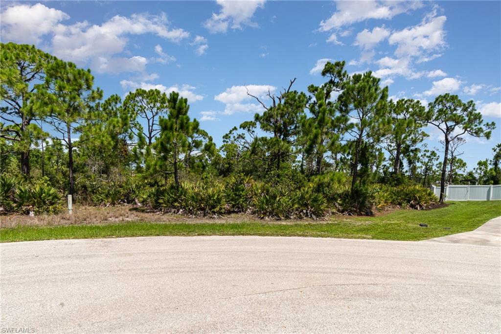 9437 Treasure Lake Ct Property Photo 15