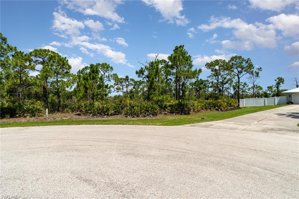 9437 Treasure Lake Ct Property Photo 16