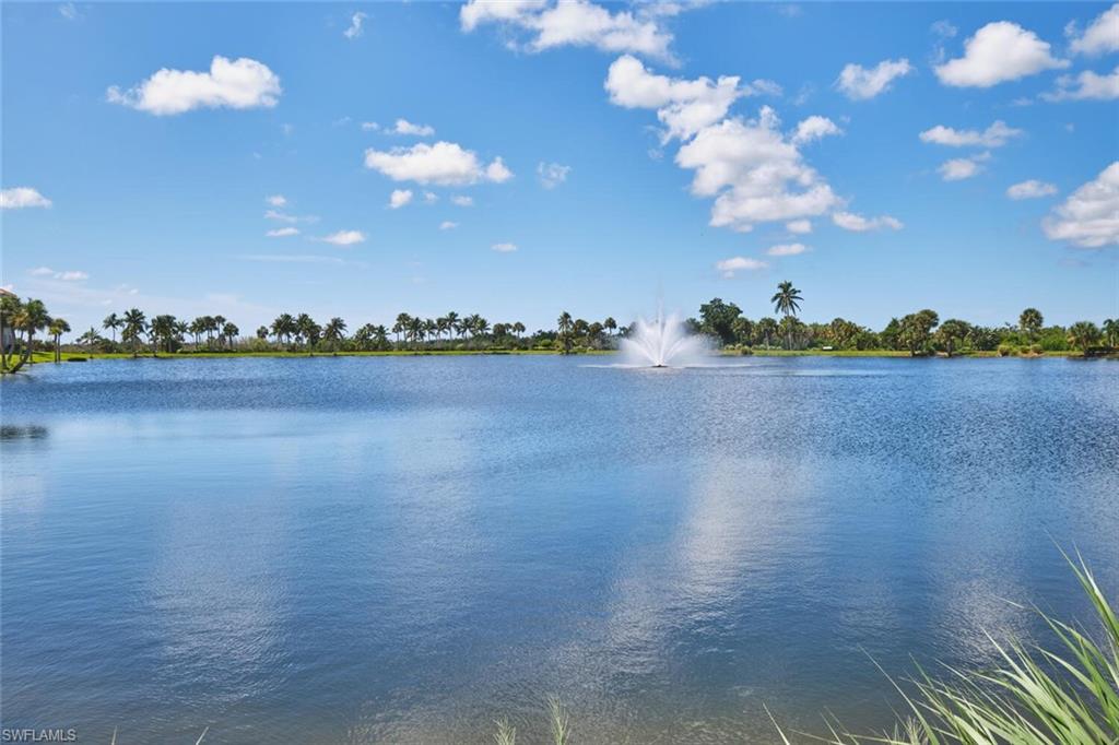 17100 Bridgestone Ct # 205 Property Photo 6