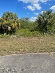 307 S Nancy Ln Property Photo 4