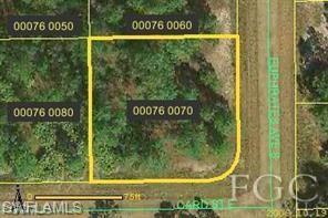 1041 Card St E Property Photo 2