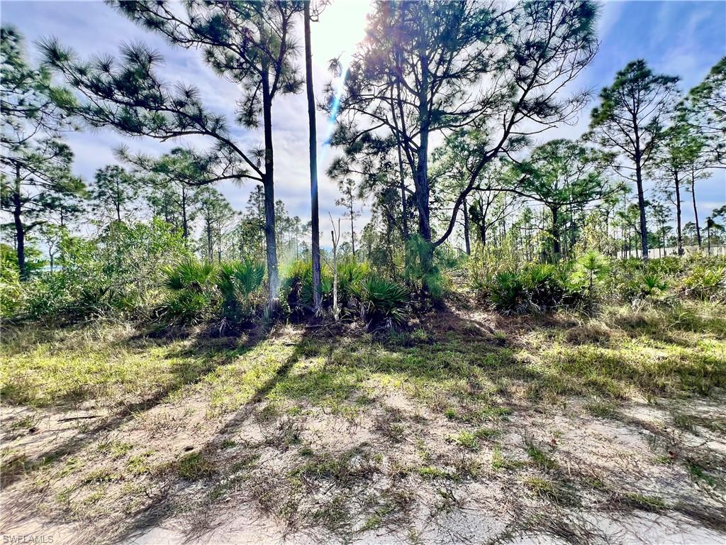 27079 Seeger DR Property Photo 1