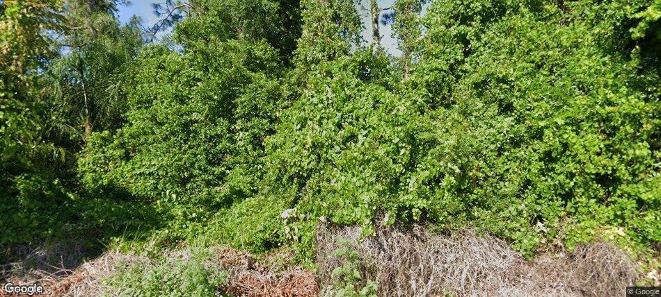 1557 Spring Ln Property Photo 1