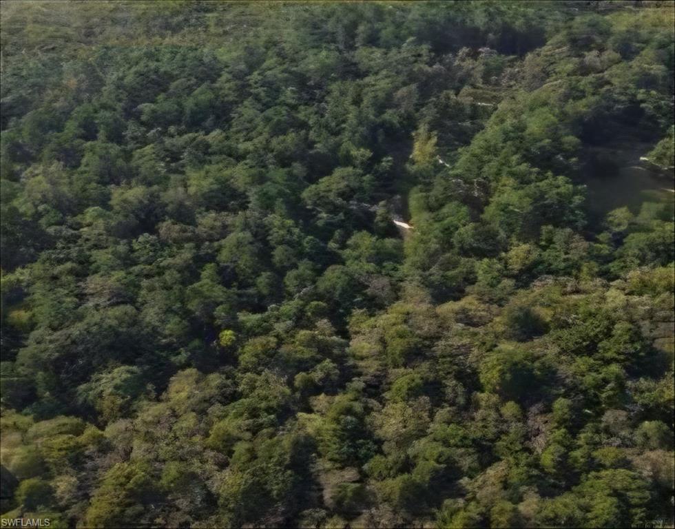 Tbd Property Photo 6