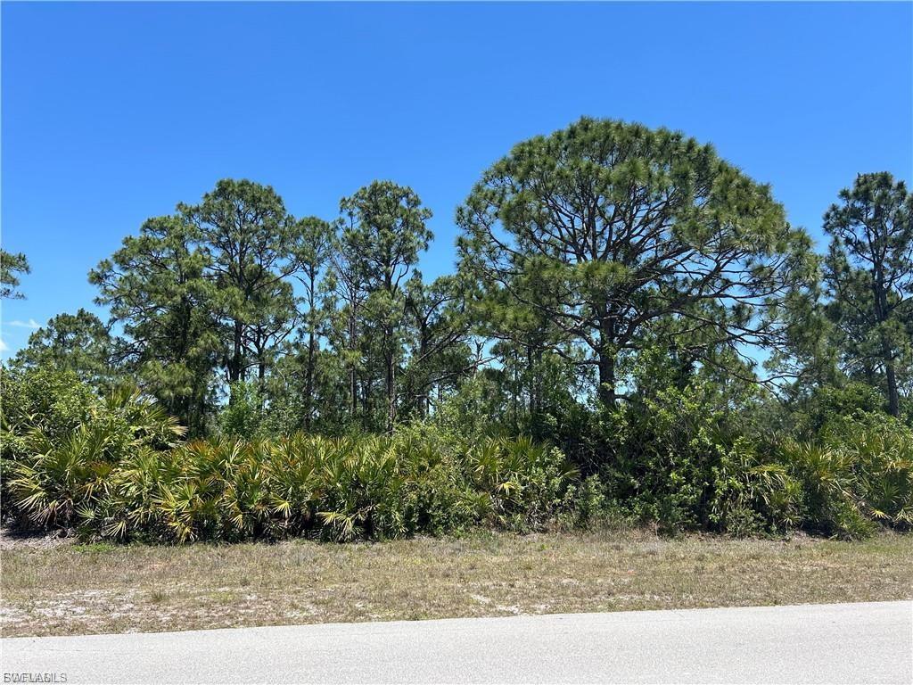 1135 Jaguar BLVD Property Photo 1