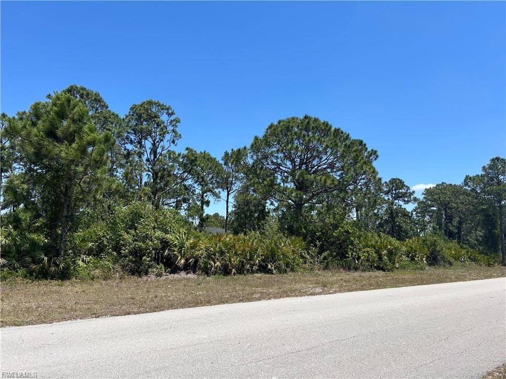 1135 Jaguar Blvd Property Photo 3