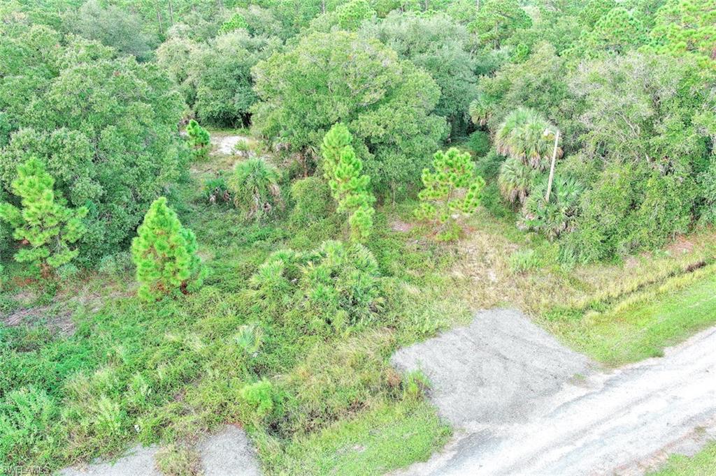 350 S Olivo St Property Photo 7