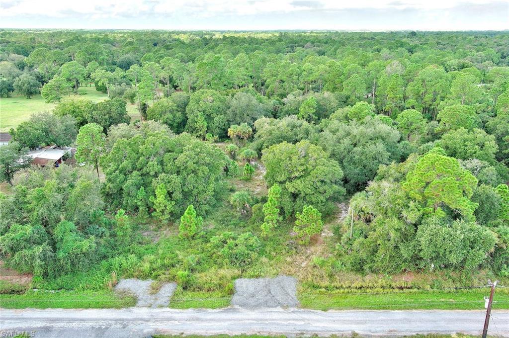 350 S Olivo St Property Photo 11