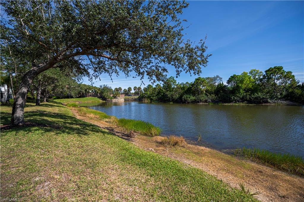 10109 Colonial Country Club Blvd 2404 Property Photo 31