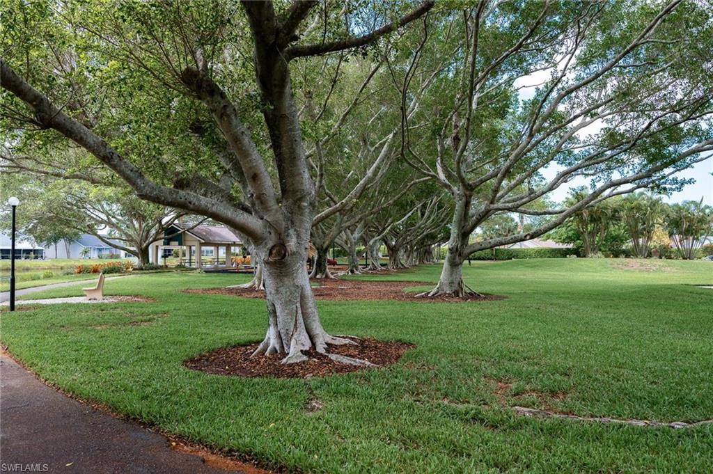 15298 Cricket Ln Property Photo 38