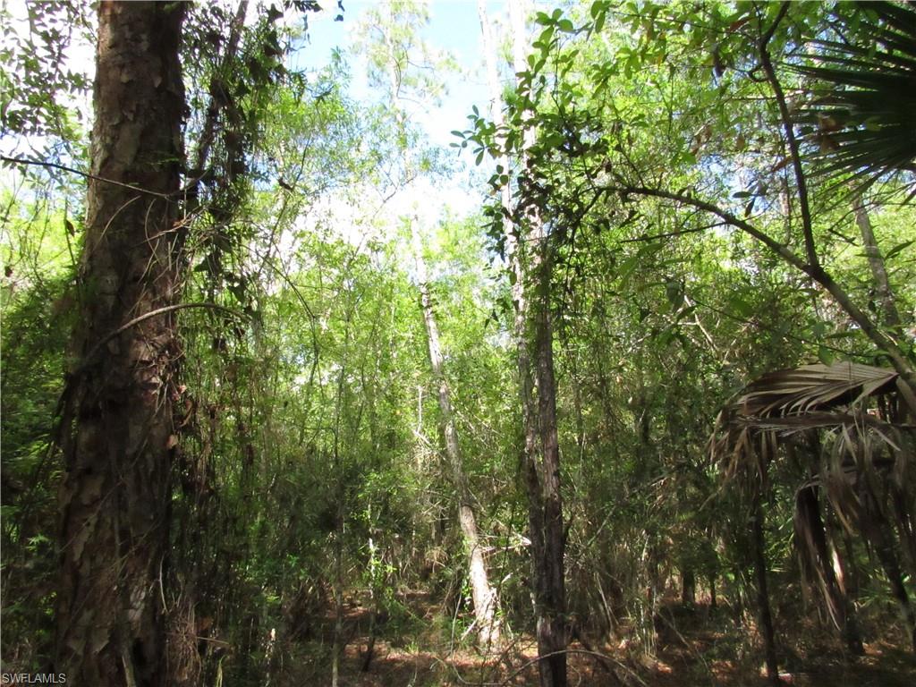 1130 Debbie Ln Property Photo 1