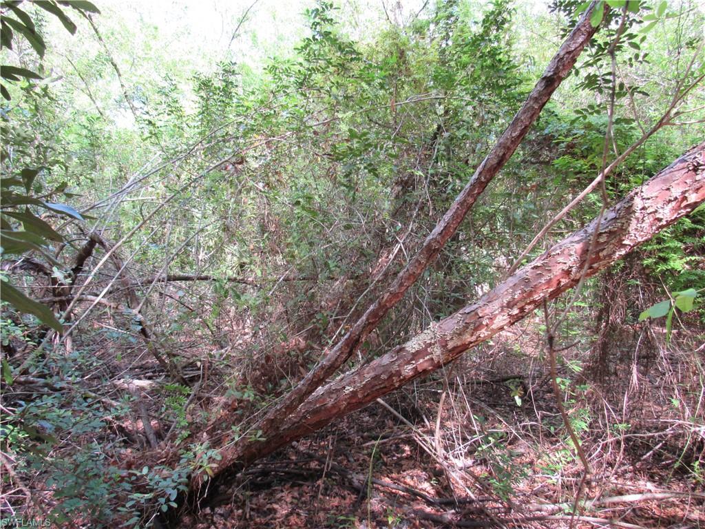 1130 Debbie Ln Property Photo 3