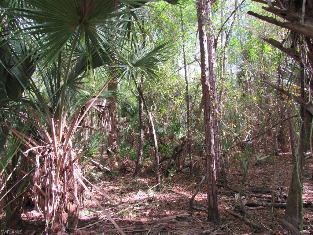 1130 Debbie Ln Property Photo 4