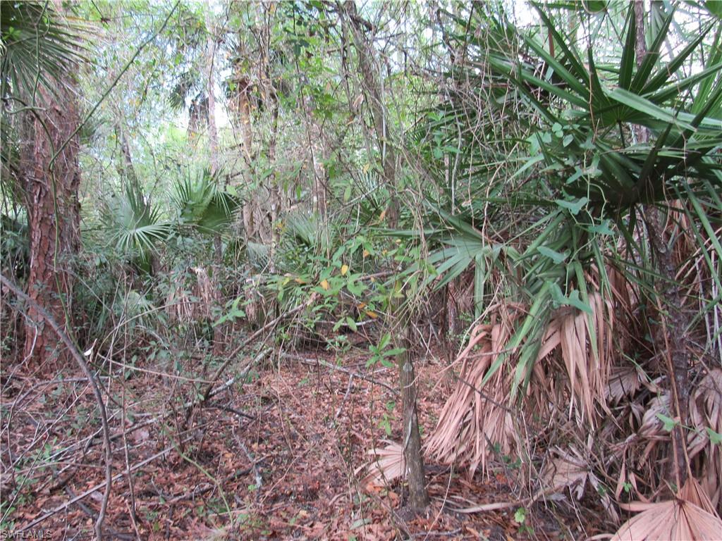 1130 Debbie Ln Property Photo 5