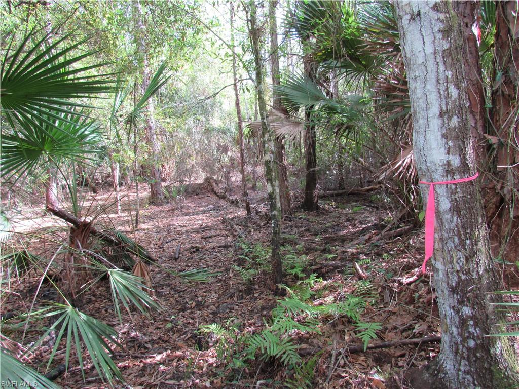1130 Debbie Ln Property Photo 6