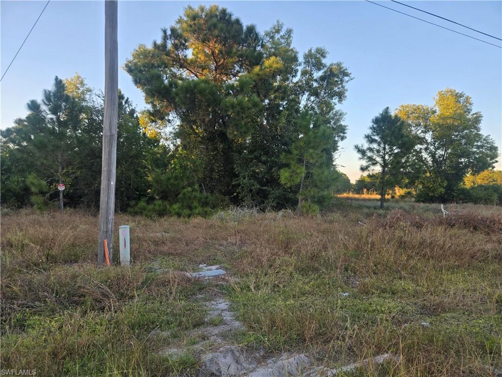 521 Denbigshire St Property Photo 2