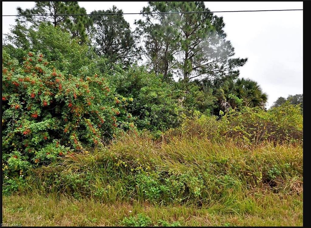Alpina Alpinia Rd Property Photo 4