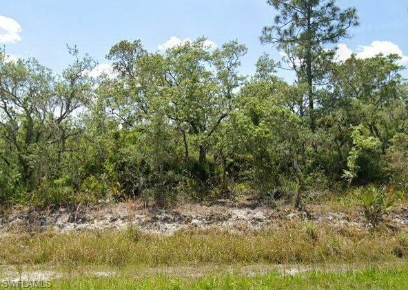 978 Archie Summers Rd Property Photo 1